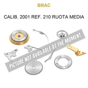 BRAC Calib. 2001 Ref. 210 Ruota Media