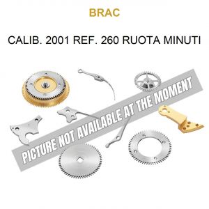 BRAC Calib. 2001 Ref. 260 Ruota Minuti