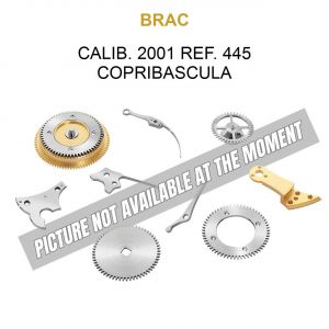 BRAC Calib. 2001 Ref. 445 Copribascula