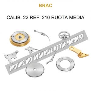 BRAC Calib. 22 Ref. 210 Ruota Media