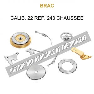 BRAC Calib. 22 Ref. 243 Chaussee