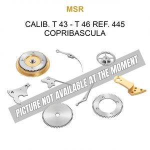 MSR Calib. T 43 - T 46 Ref. 445 Copribascula