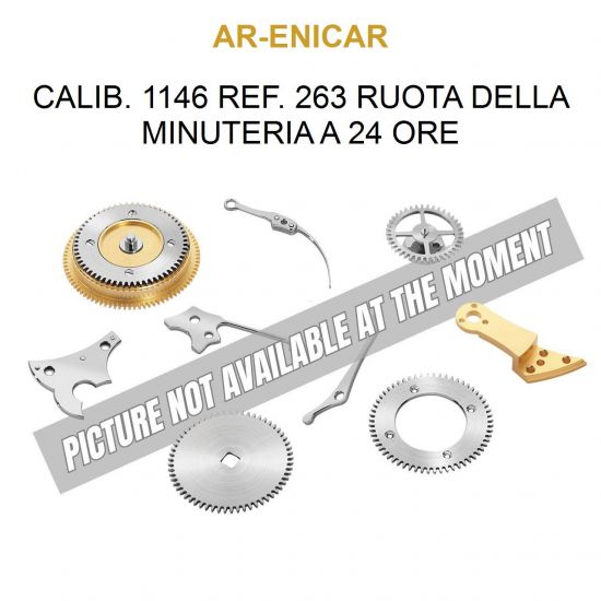 AR-ENICAR CALIB. 1146 REF. 263 RUOTA DELLA MINUTERIA A 24 ORE