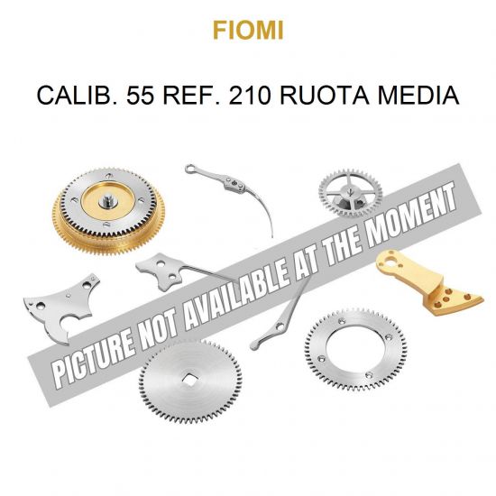 FIOMI Calib. 55 Ref. 210 Ruota Media