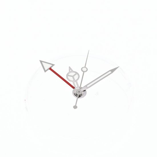 GENERIC SET LANCETTE BIANCHE PER R. GMT 1675 CAL. 1575