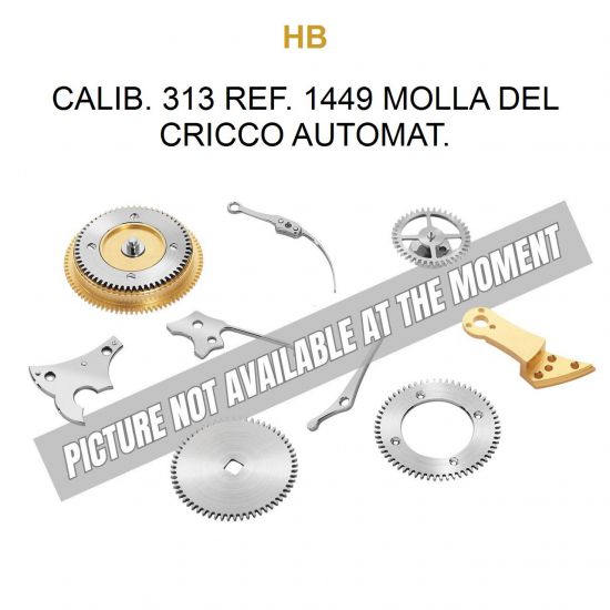 HB  Calib. 313 Ref. 1449 Molla del Cricco Automat.