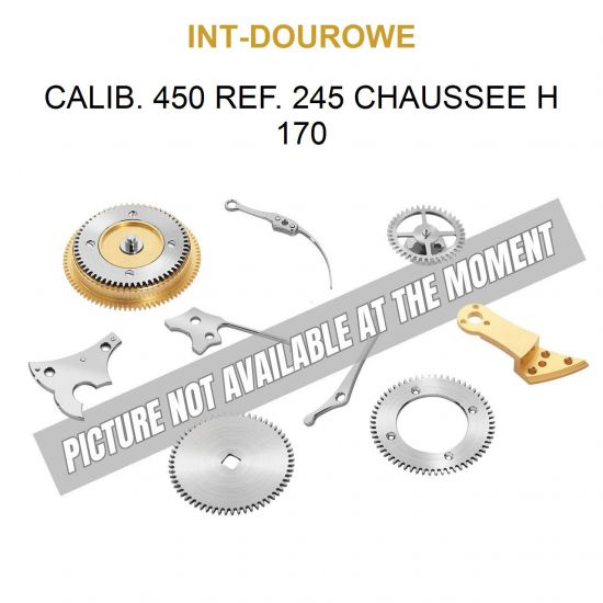 INT-DUROWE Calib. 450 Ref. 245 Chaussee H 170