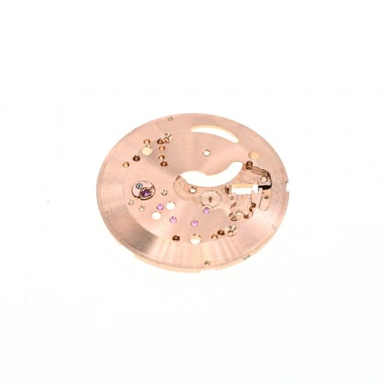 OMEGA 491 COD. 1000 PLATINA