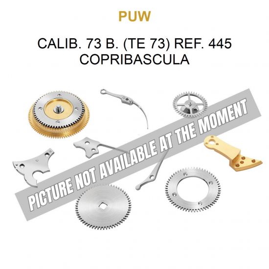 PUW Calib. 73 B. (Te 73) Ref. 445 Copribascula