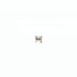 AS 1749 COD. 407 PIGNONE SCORREVOLE