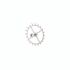 EBEL 080 COD. 705 RUOTA SCAPPAMENTO