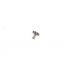 EBEL 97B COD. 240 PIGNONE CALZANTE