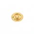 FREDERIC PIGUET 951 COD. 33.020 RUOTA CONDUTTRICE DEL DATARIO