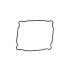 GENERIC COMPATIBILE GUARNIZIONE FONDELLO PER CARTIER 20.4X21.8X0.6
