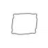 GENERIC COMPATIBILE GUARNIZIONE FONDELLO PER CARTIER 20.4X21.8X0.6