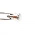 GENERIC PULSANTE ACCIAIO HP0104 PER TG. CARRERA , 4.5X3.5X9.5