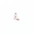 LONGINES 23ZSD REF. 125 PONTE DELL’ANCORA