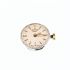 LONGINES 410 MOVIMENTO COMPLETO, DA REVISIONARE, BILANCIERE OSCILLA LIBERAMENTE