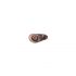 LONGINES 890.1 COD. 454 BASCULA DEL RINVIO DEL ROCCHETTO