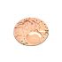 OMEGA 265 COD. 1000 PLATINA