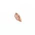 OMEGA 661 COD. 1003 PONTE DEL RUOTISMO