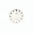 OMEGA QUADRANTE ARGENTEE SEAMASTER MM 29,3 PER CAL. 550, 551, 552, NUOVO