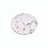 ROLEX 1602 COD. 100 PLATINA