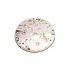 ROLEX 700 H 10 1/2’’ COD. PLATINA