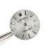 ROLEX QUADRANTE ARGENTEE INDICI LUMINOVA PER OYSTER PERPETUAL 26MM 176200